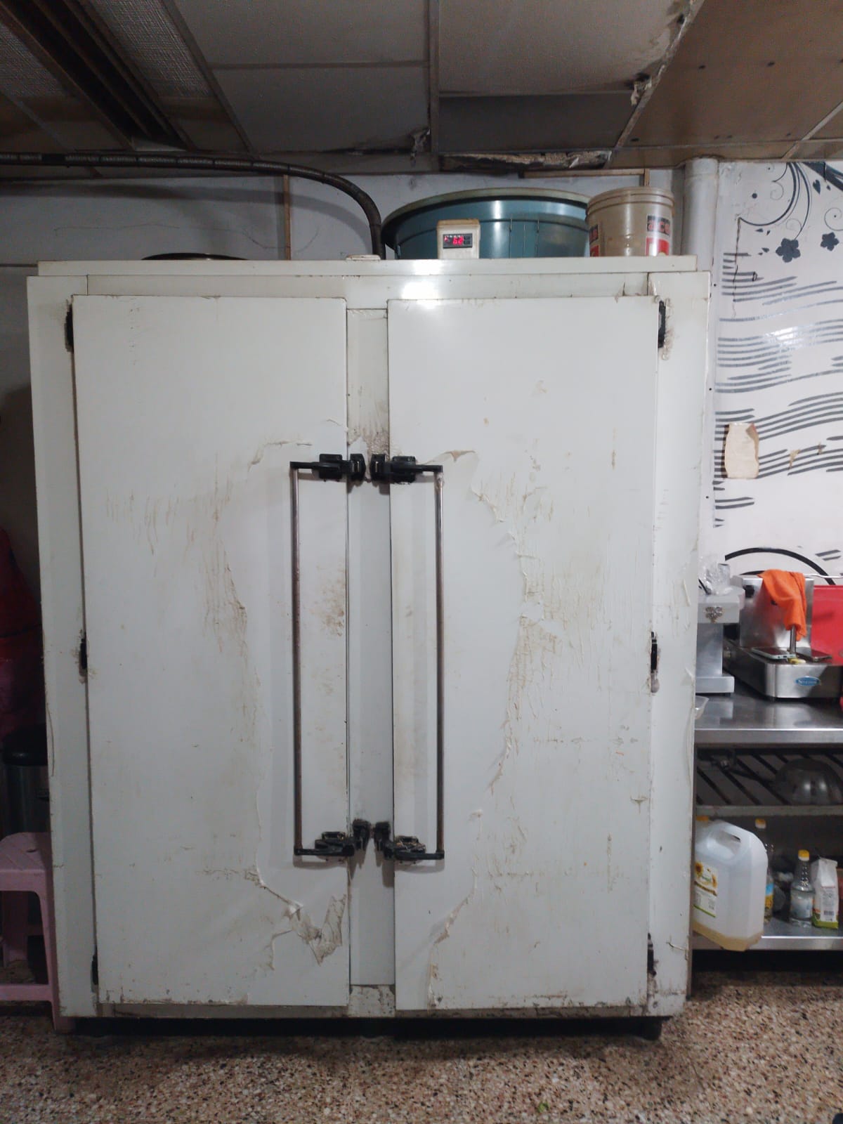 Cámara frigorífica comercial de dos puertas reparada